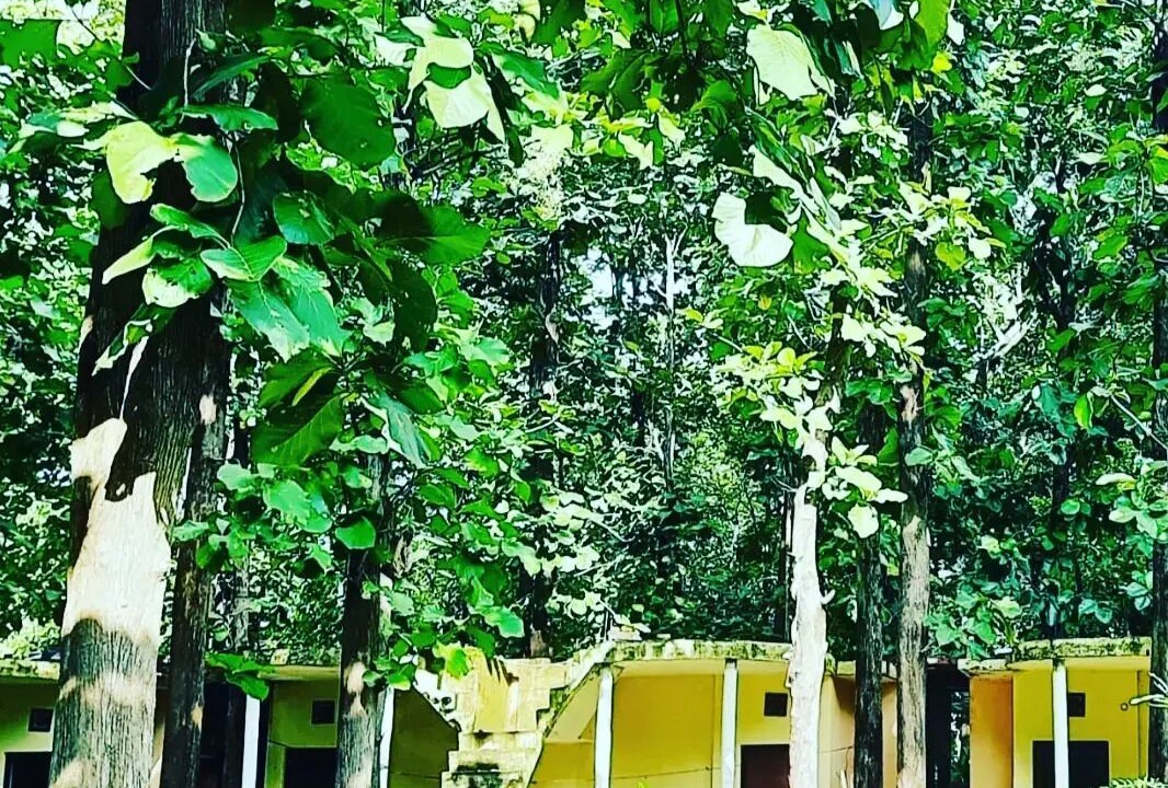 Photo of Outdoor in Mohaan