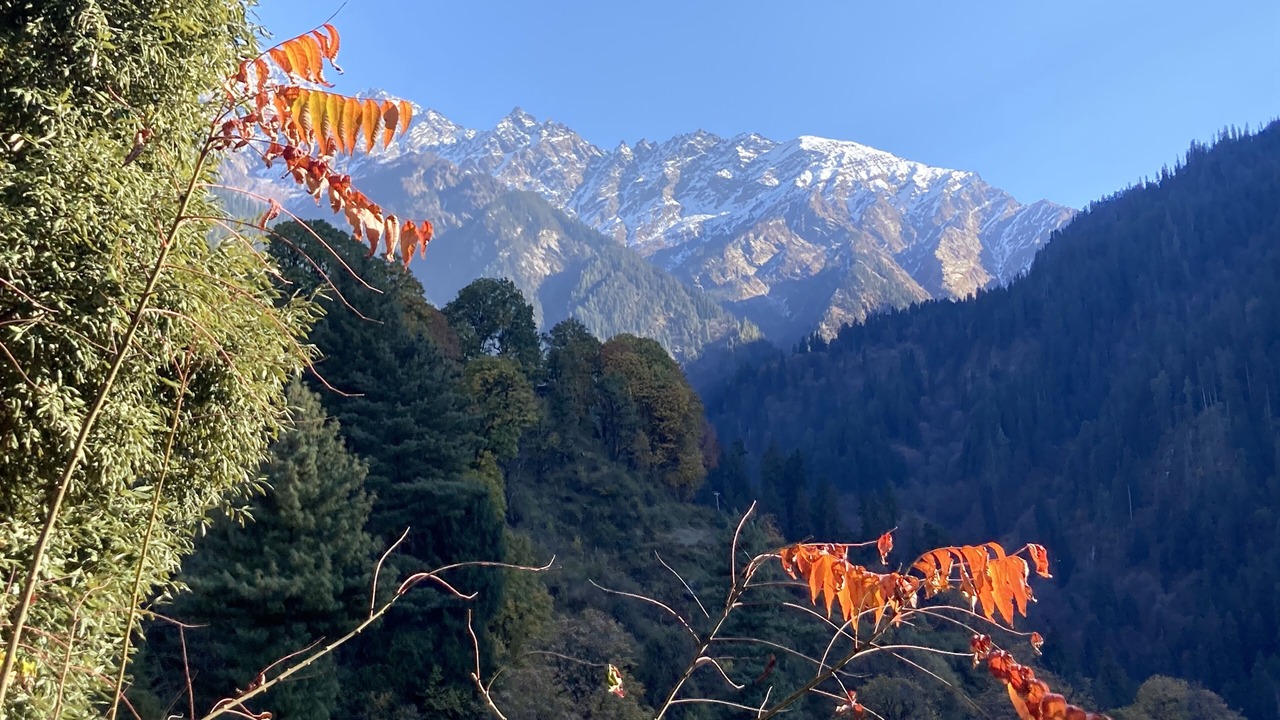 Photo of Others in Kasol