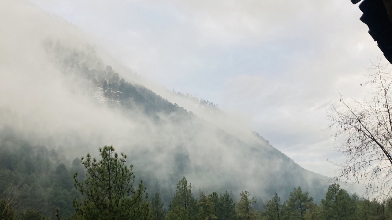 Photo of Outdoor in Kasol
