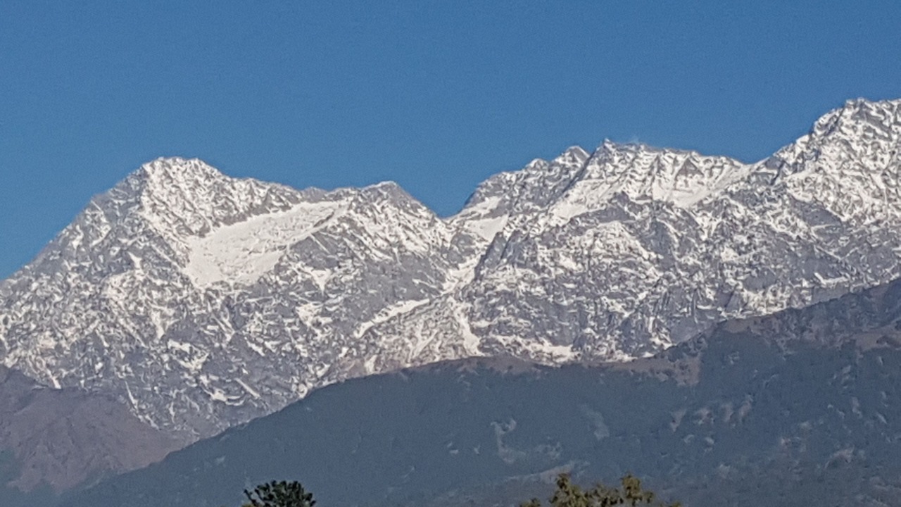 Photo of Others in Palampur
