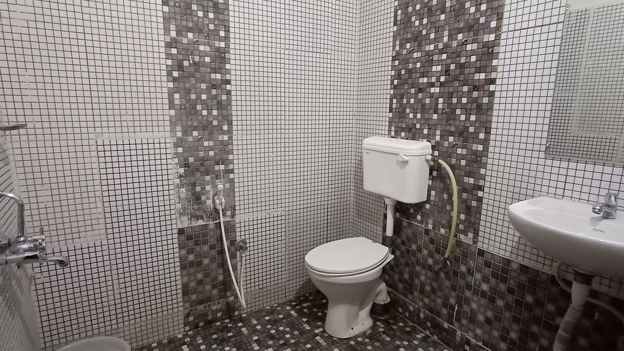 Photo of Bathroom in Agara