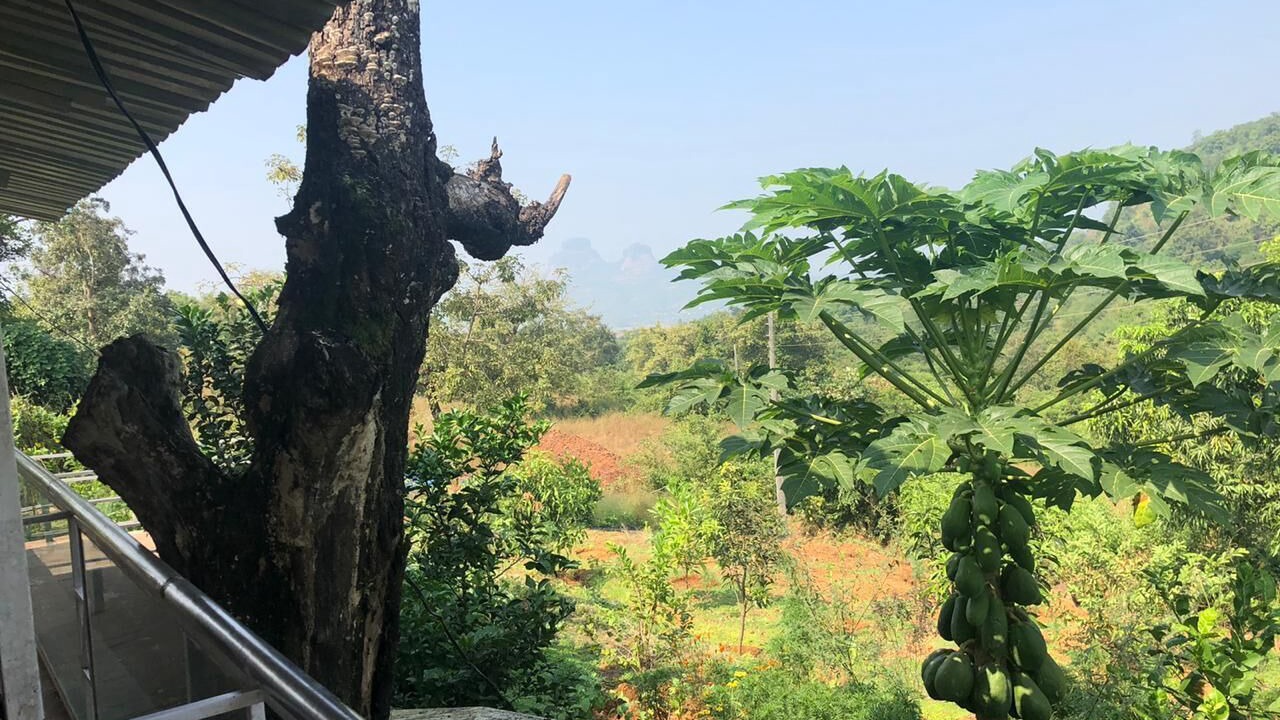 Photo of Outdoor in Pali