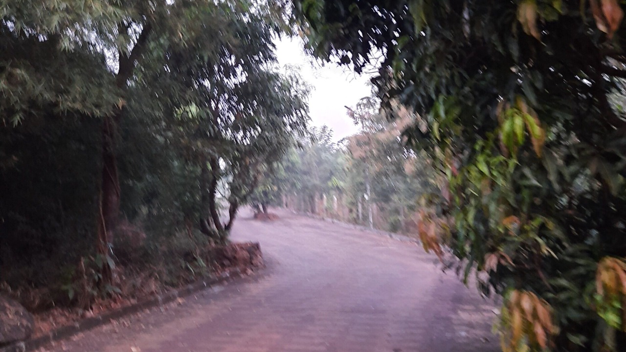 Photo of Outdoor in Mhsala