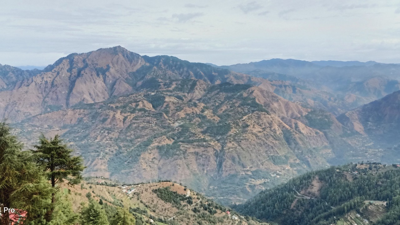 Photo of Others in Shimla