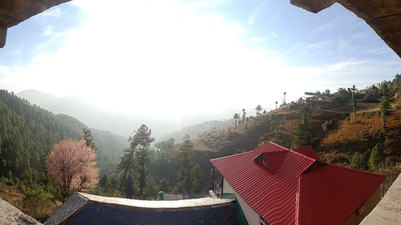 Photo of Others in Shimla