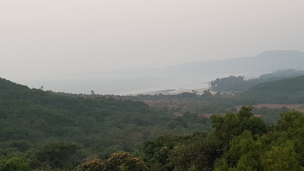 Photo of Others in Mhsala