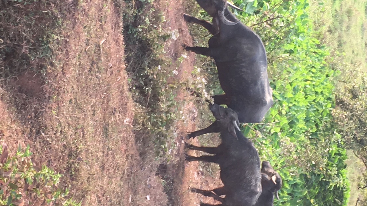 Photo of Outdoor in Maina