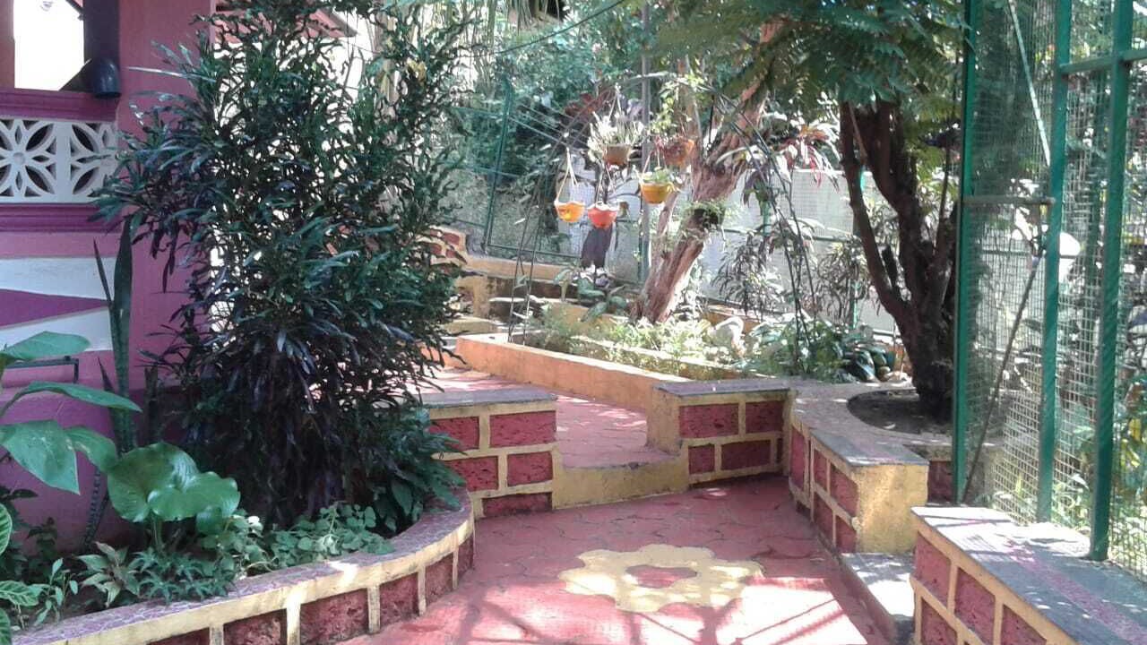 Photo of Outdoor in Maina