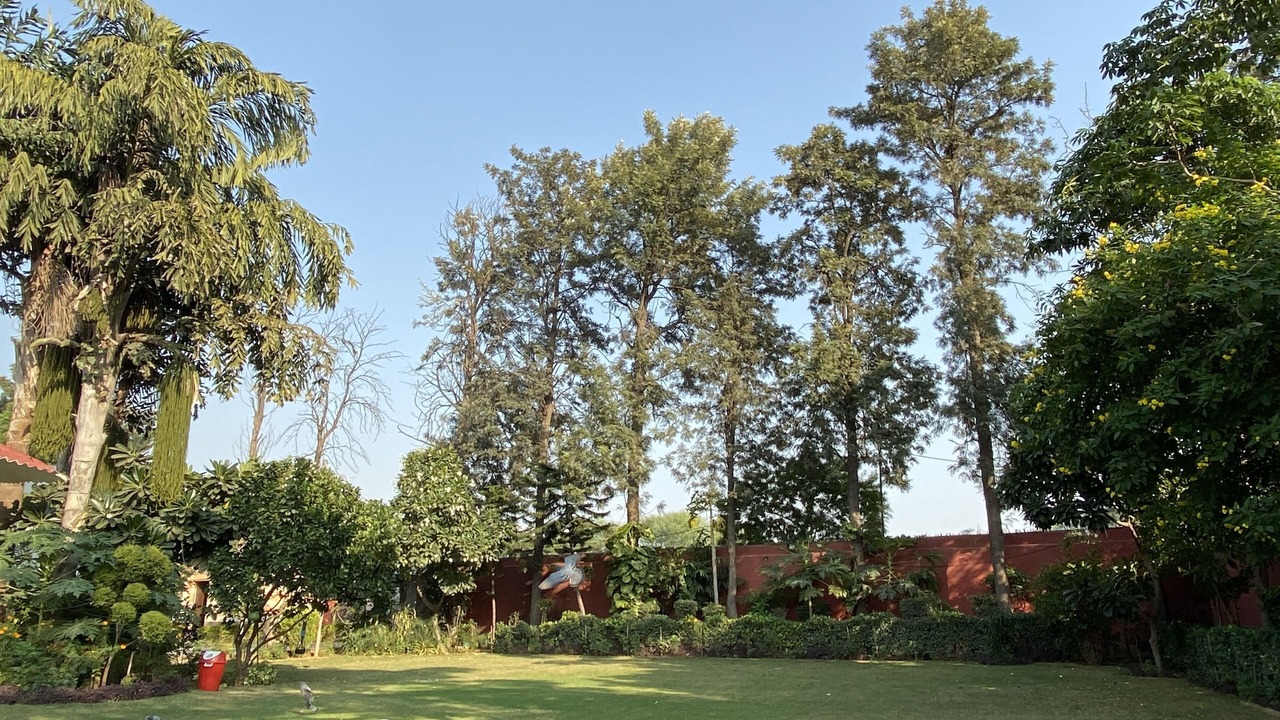 Photo of Outdoor in New Delhi