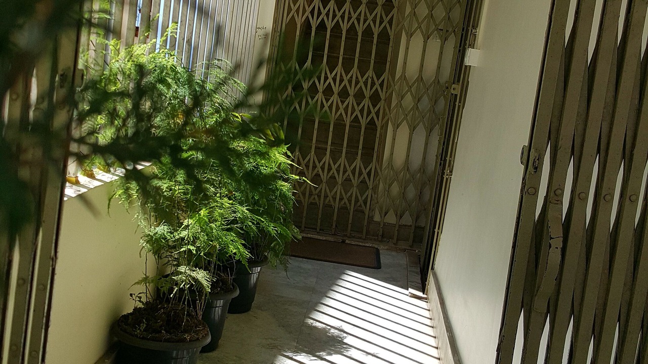 Photo of Outdoor in Gangtok