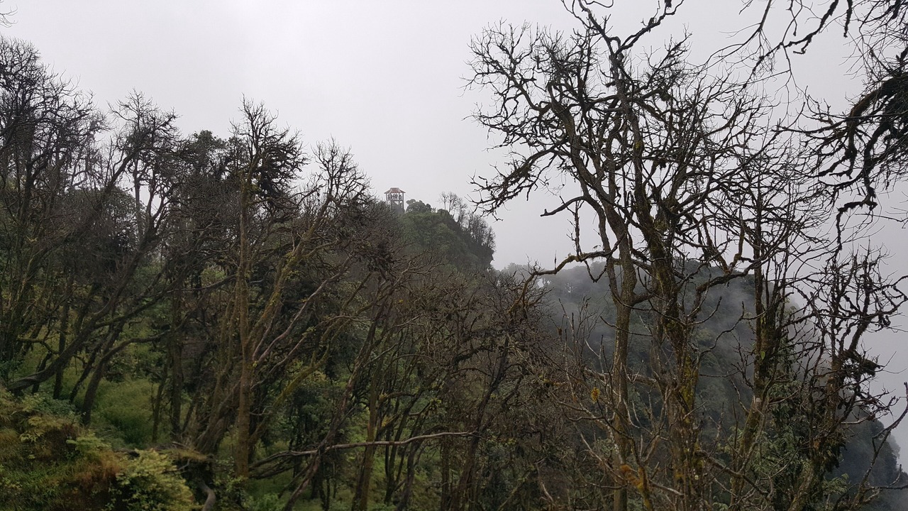 Photo of Outdoor in Gangtok