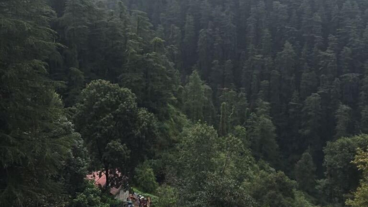 Photo of Others in Shimla