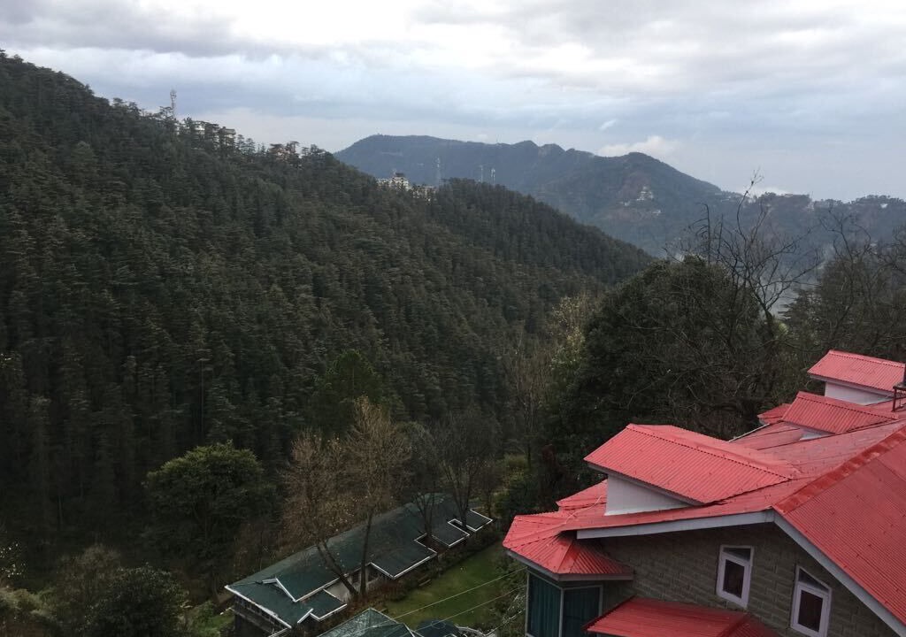 Photo of Others in Shimla