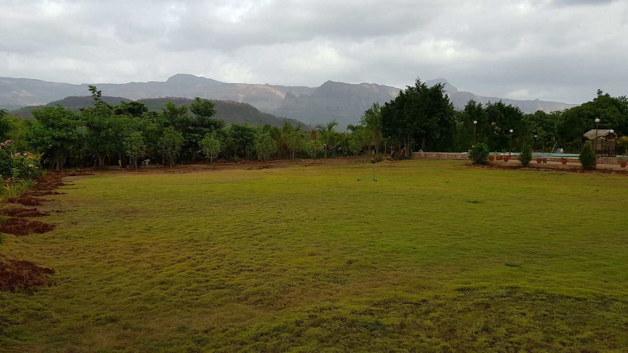 Photo of Others in Pali