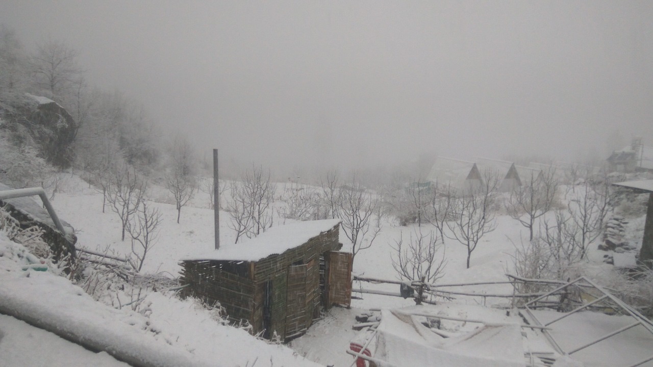 Photo of Outdoor in Tosh