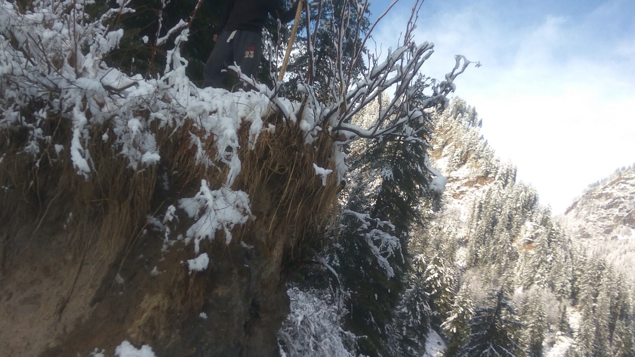 Photo of Outdoor in Tosh