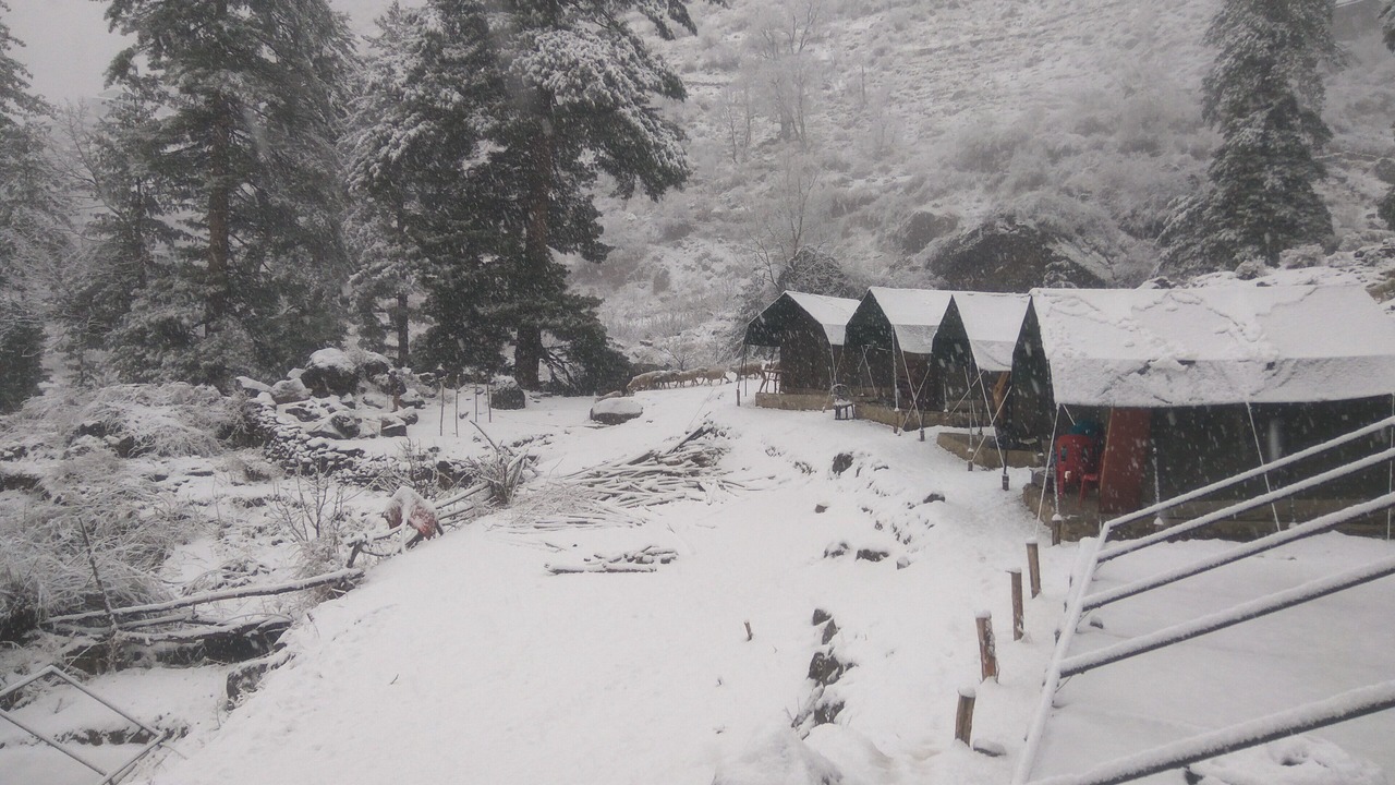 Photo of Outdoor in Tosh