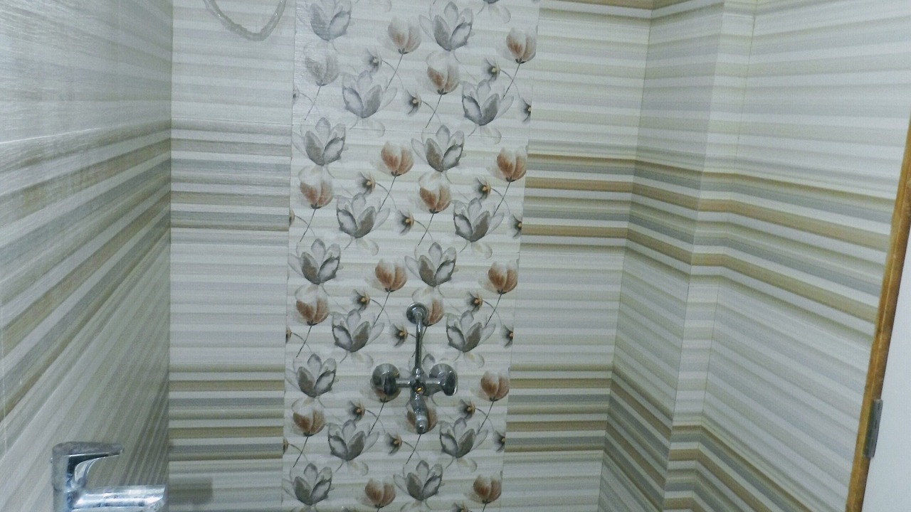 Photo of Bathroom in Malavli