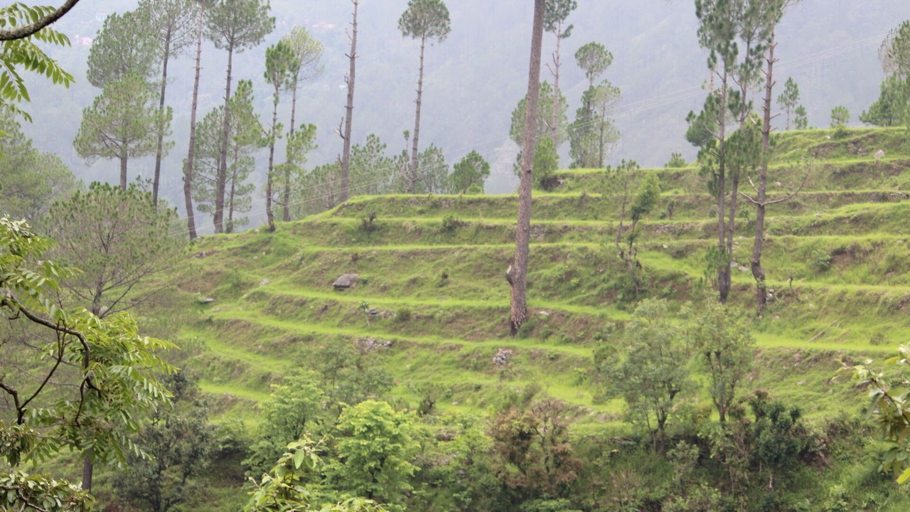 Photo of Outdoor in Kaul