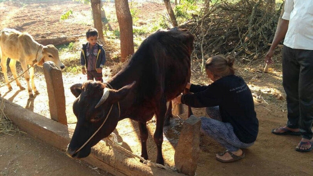 Photo of Others in Nandigunda