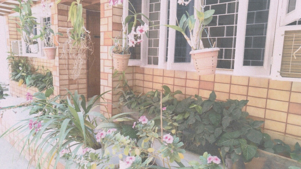 Photo of Outdoor in Juhu