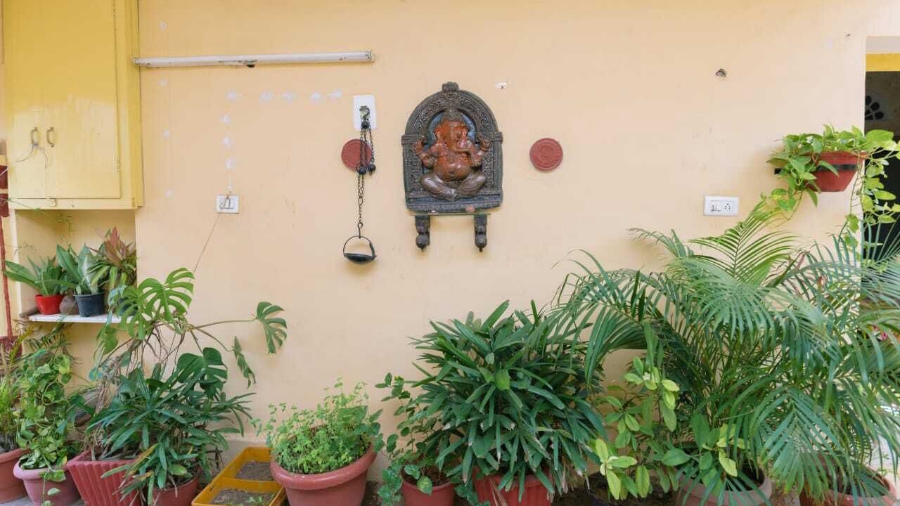 Photo of Outdoor in Rajasthan University Campus