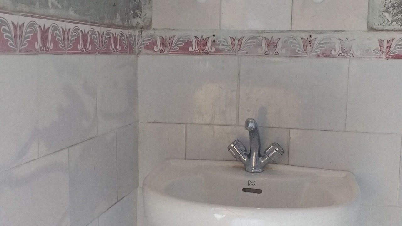 Photo of Bathroom in Sangla