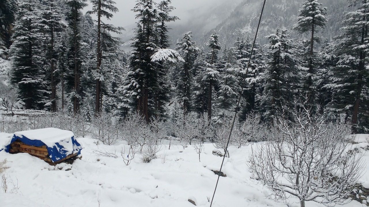Photo of Others in Sangla