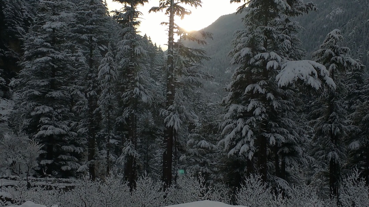 Photo of Outdoor in Sangla