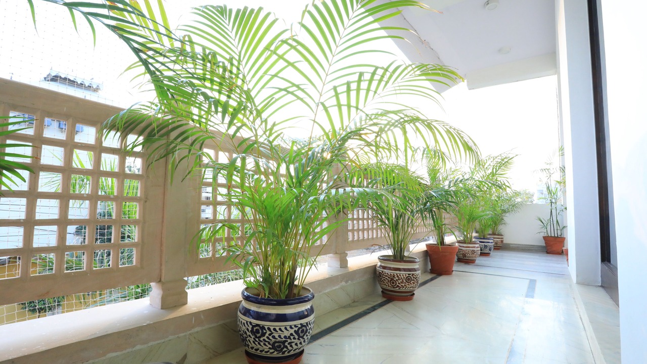 Photo of Patio Balcony in Jaipur District