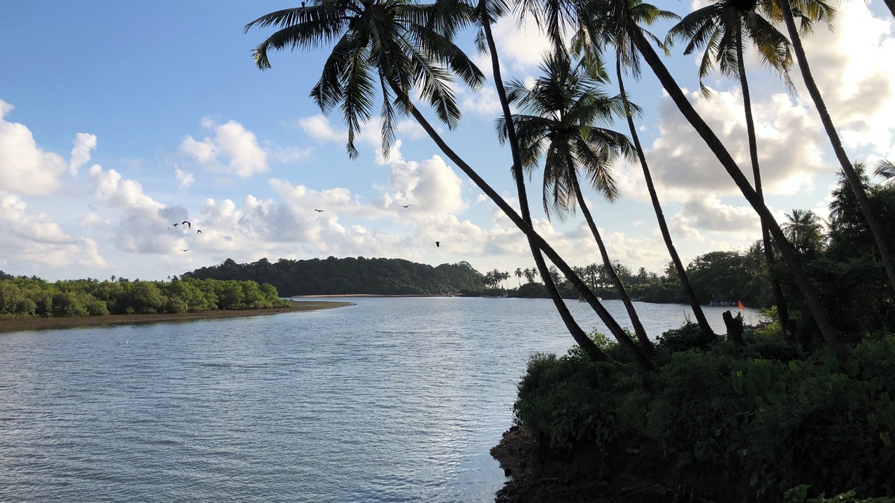 Photo of Others in Palolem