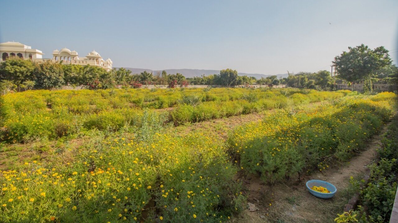 Photo of Outdoor in Kukas
