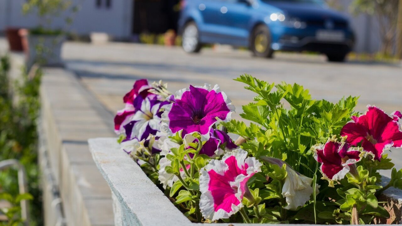 Photo of Outdoor in Kukas