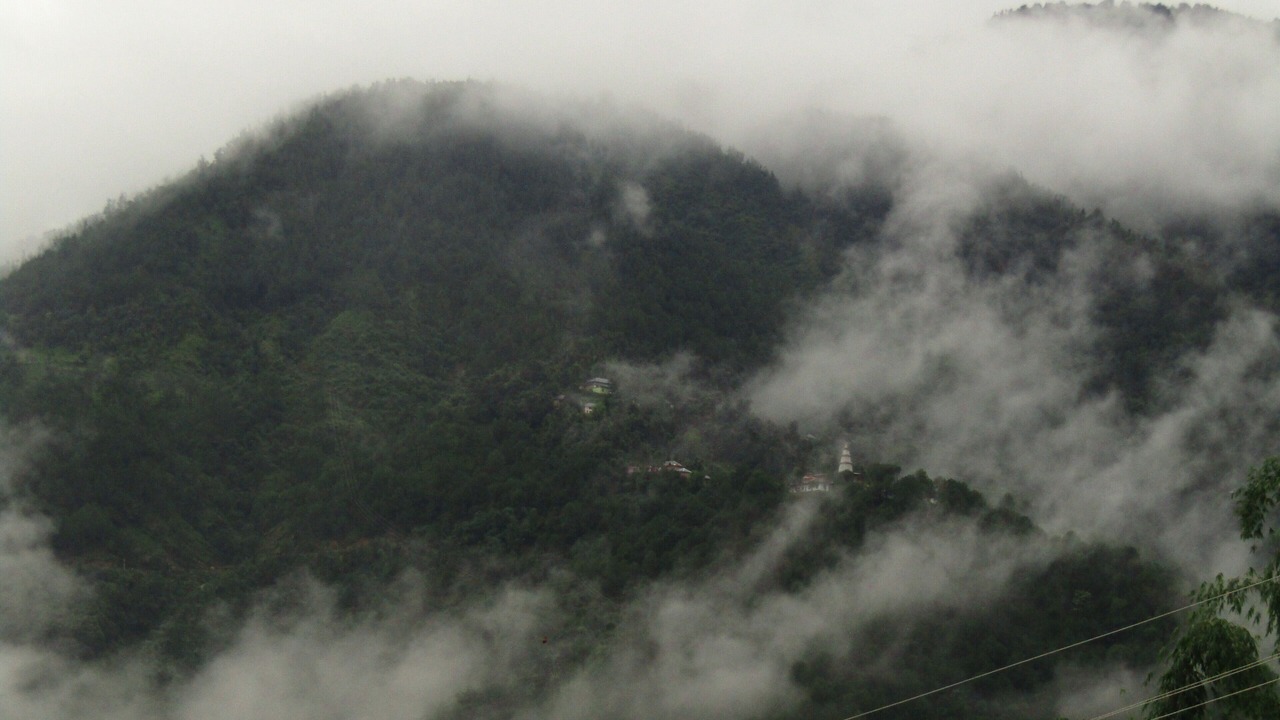 Photo of Others in Palampur