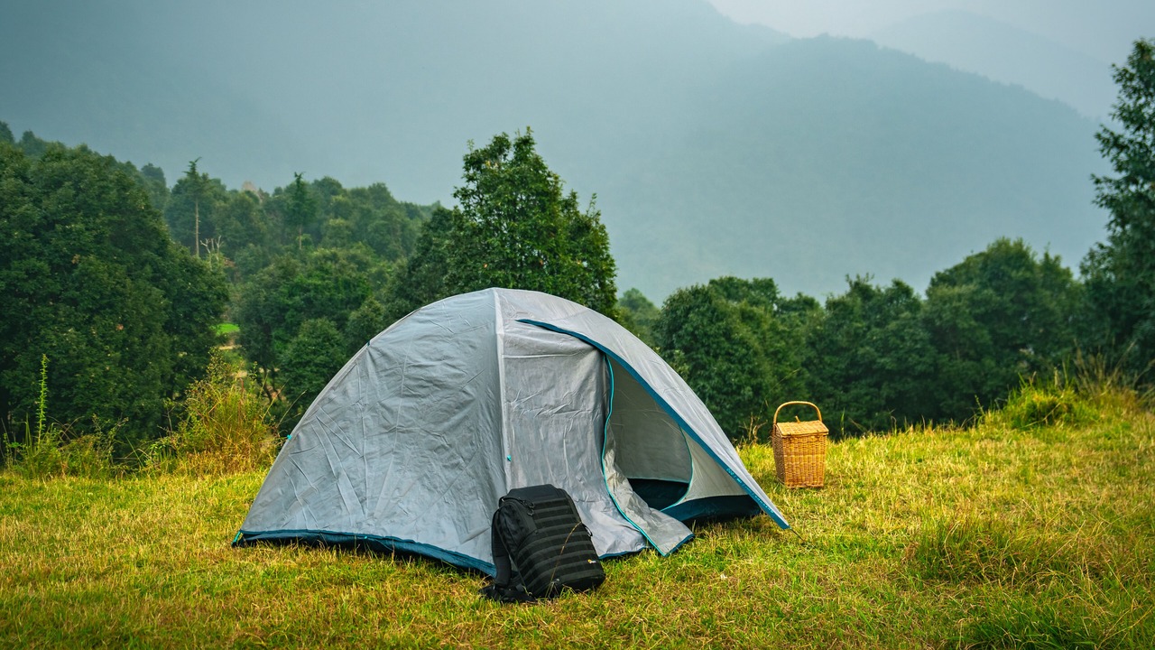 Photo of Others in Palampur