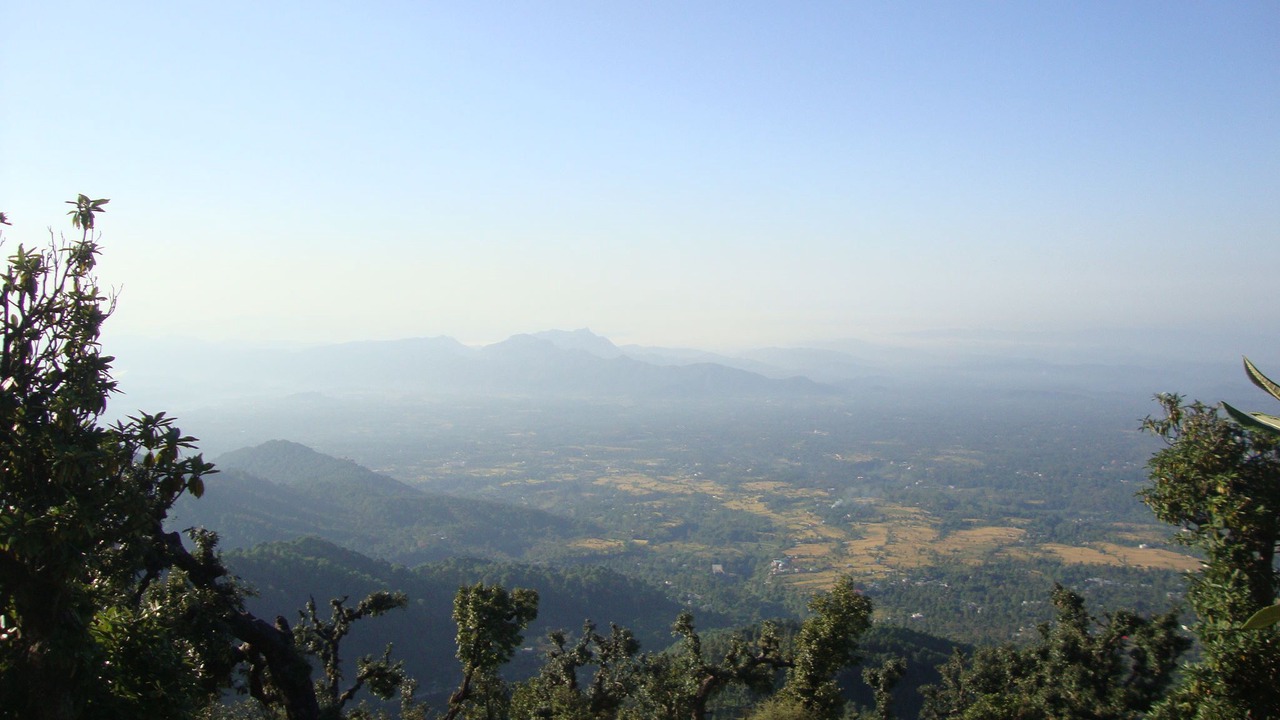Photo of Others in Palampur