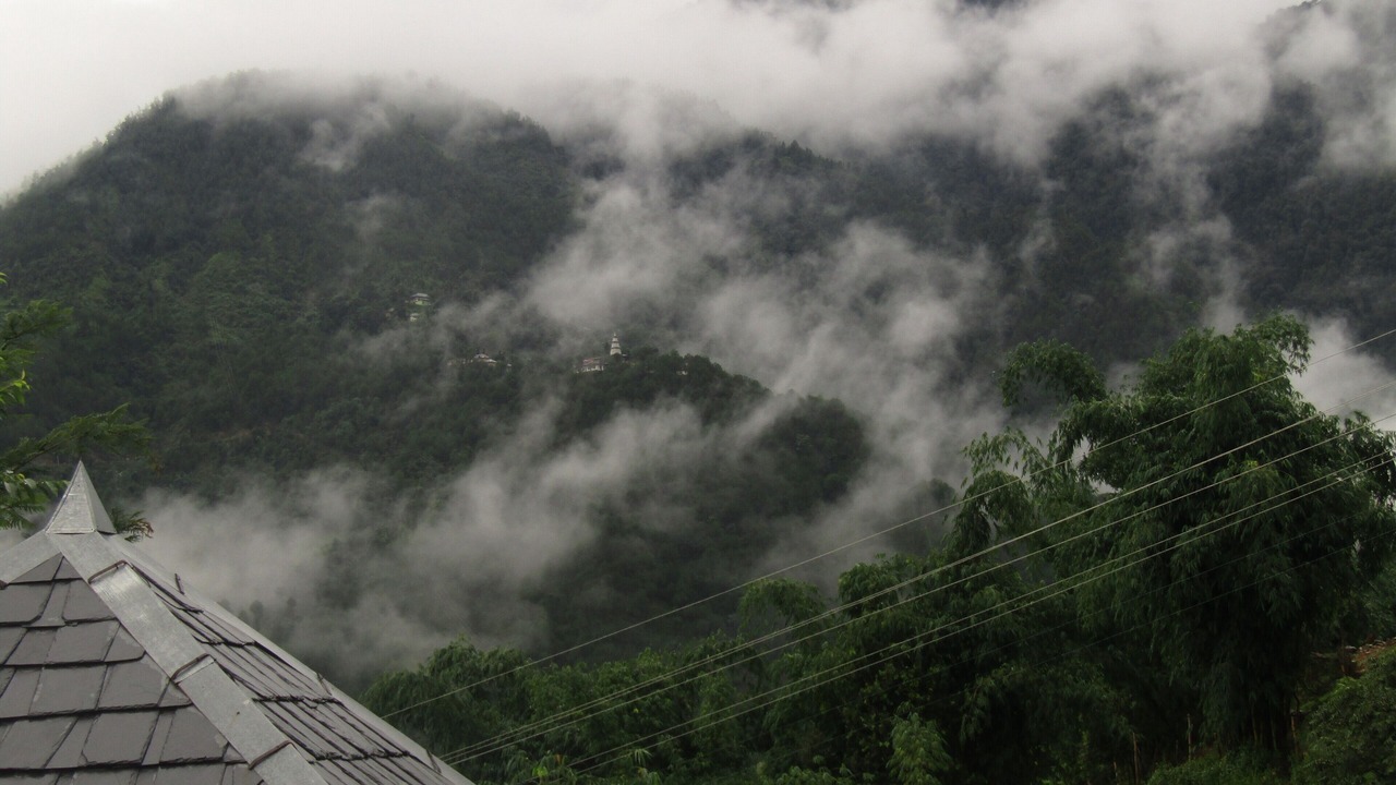Photo of Others in Palampur