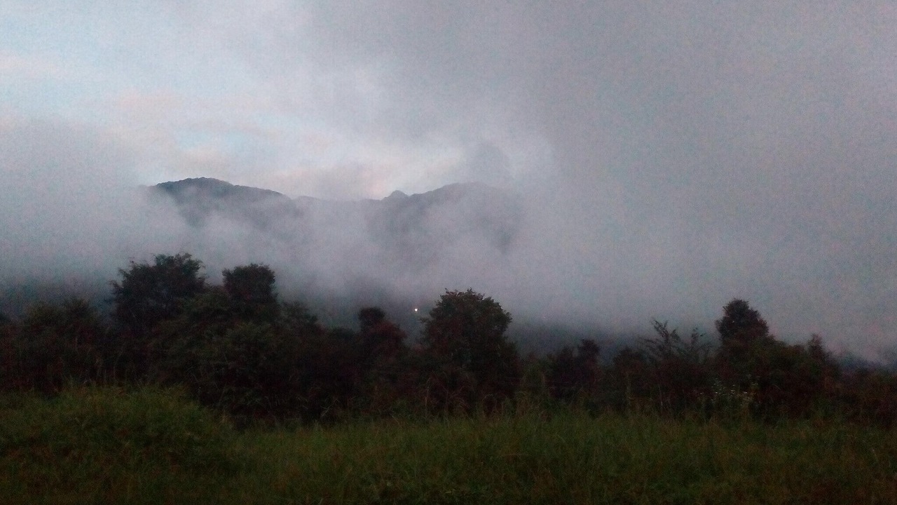 Photo of Others in Palampur