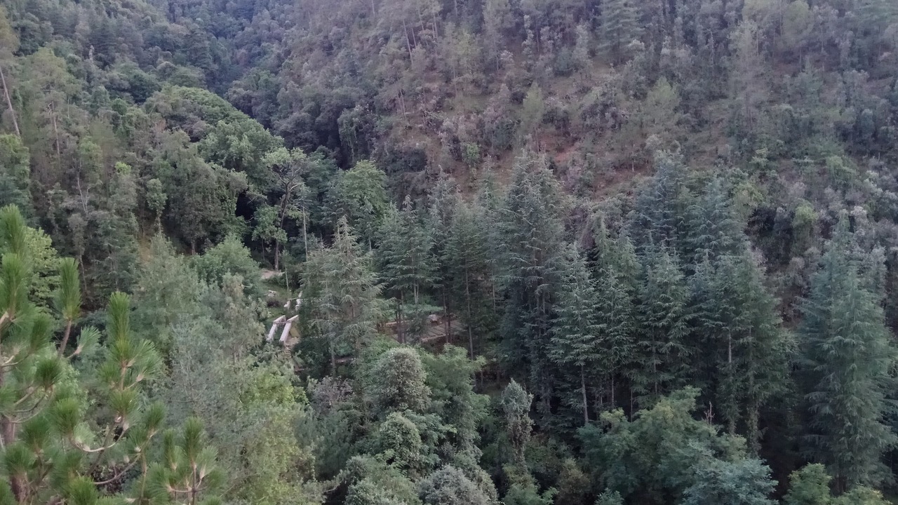 Photo of Outdoor in Shimla