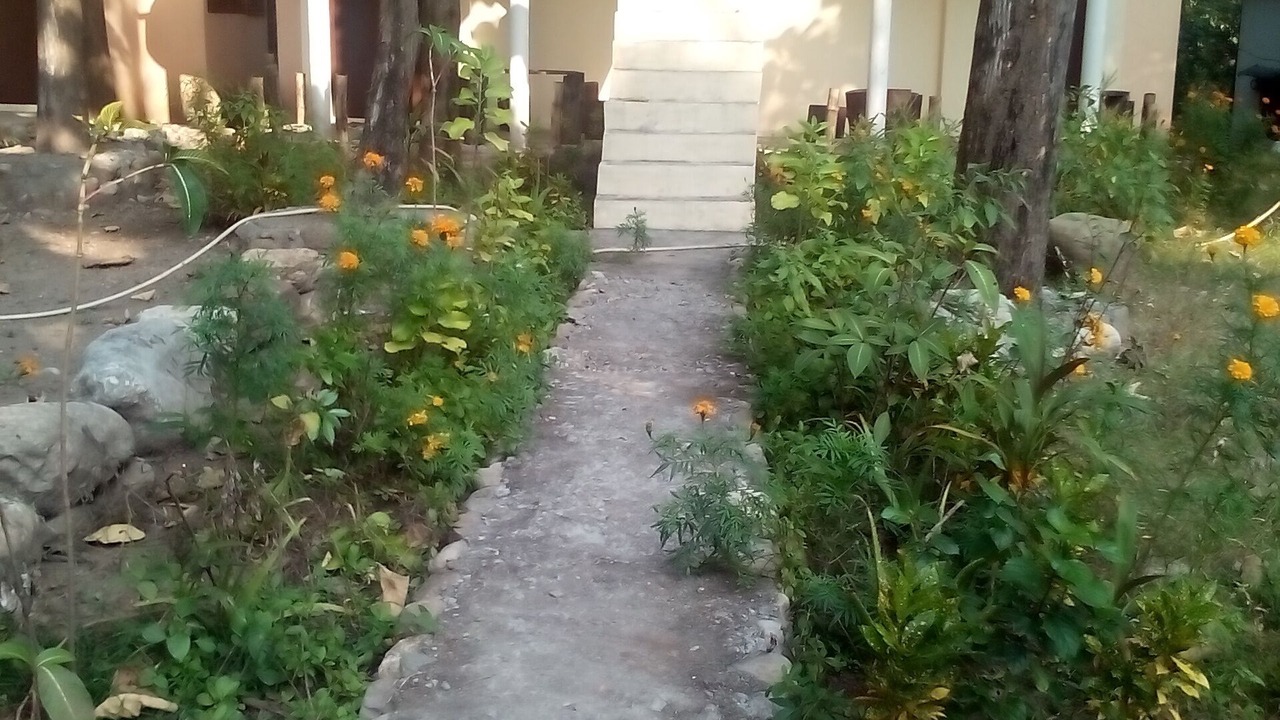 Photo of Outdoor in Garjia
