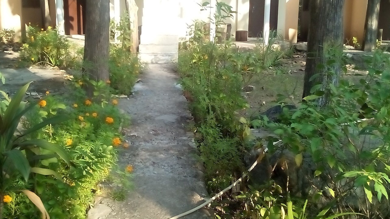 Photo of Outdoor in Garjia