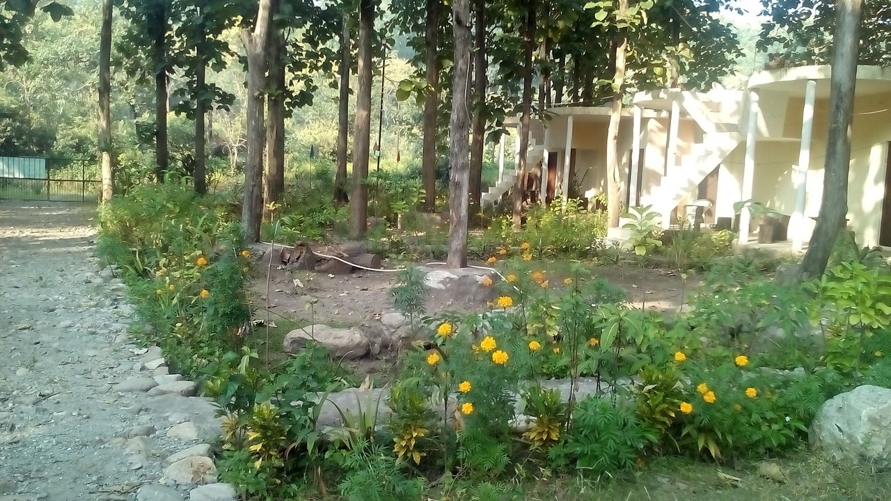 Photo of Outdoor in Garjia