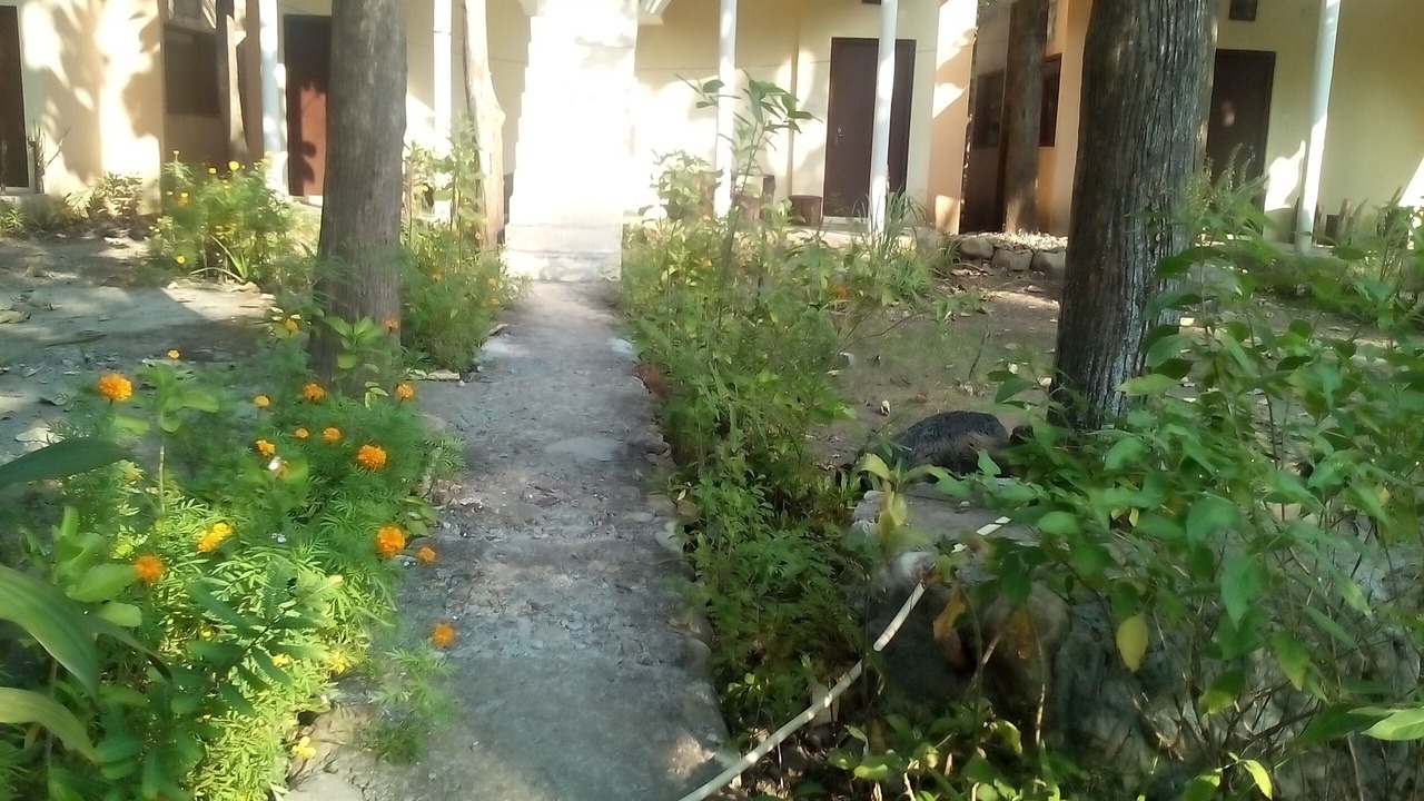 Photo of Outdoor in Garjia