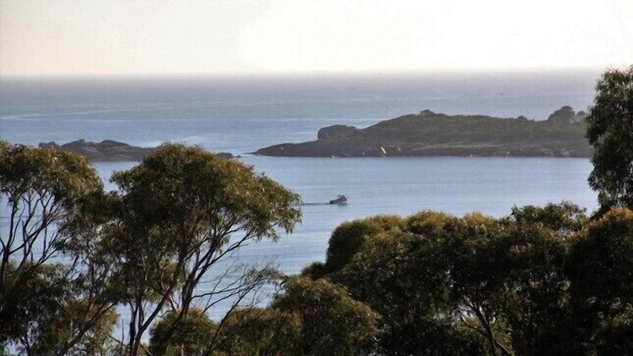 Photo of Others in Binalong Bay