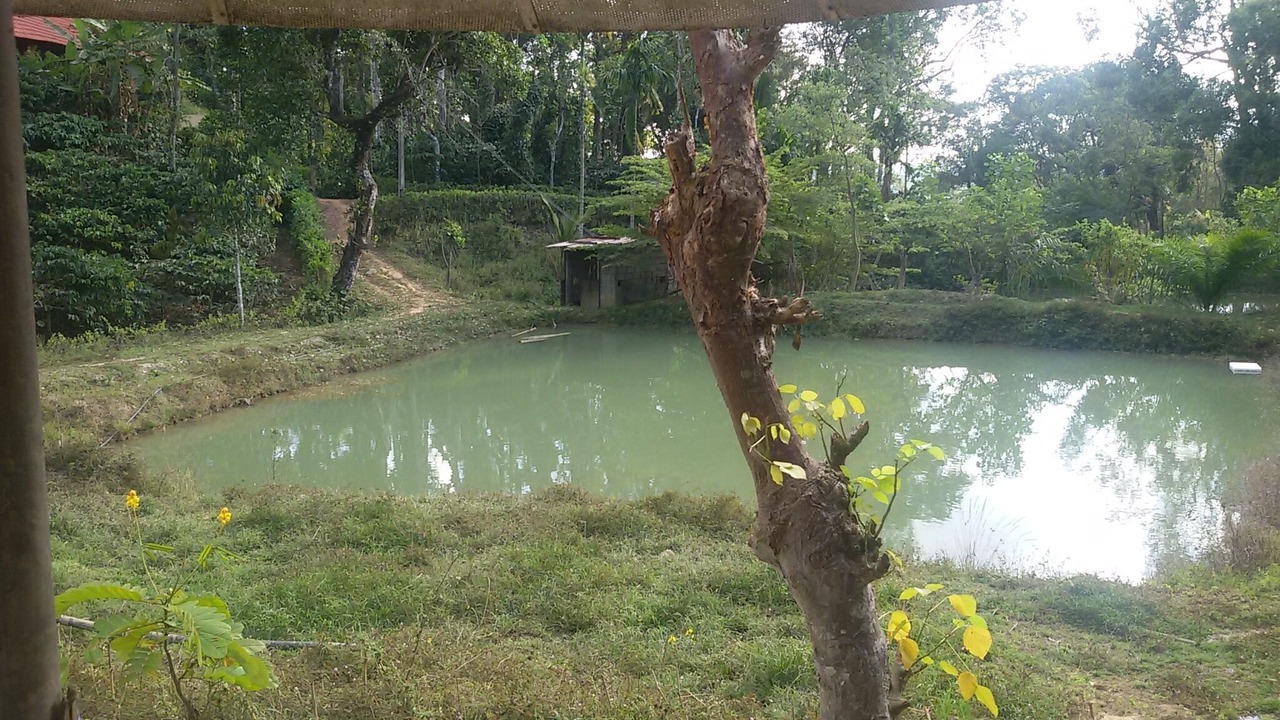 Photo of Outdoor in Virarajendrapet