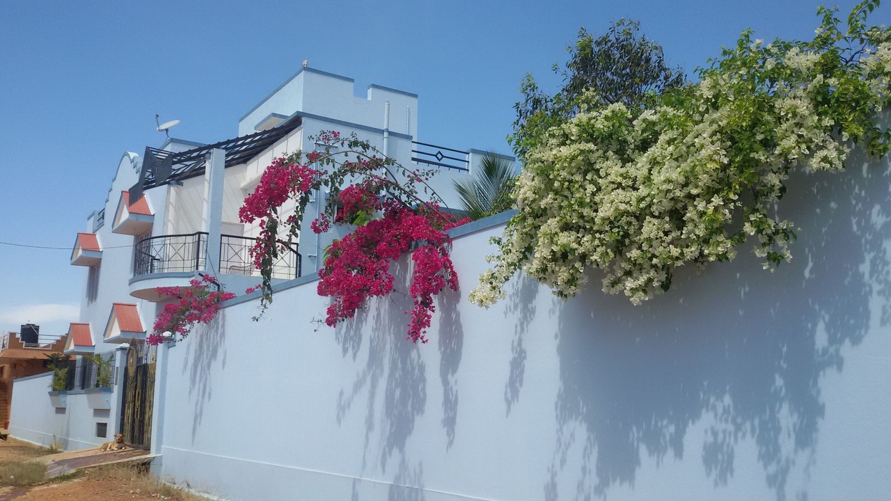 Photo of Outdoor in Bengaluru