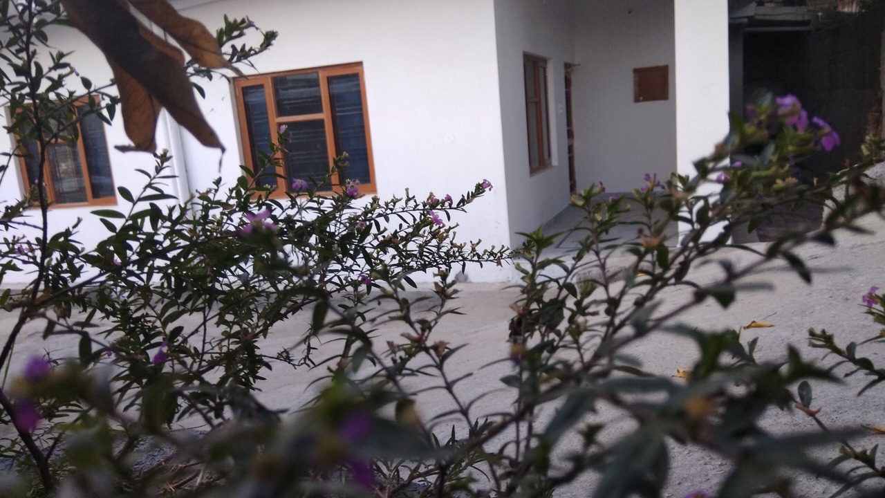 Photo of Outdoor in Palampur