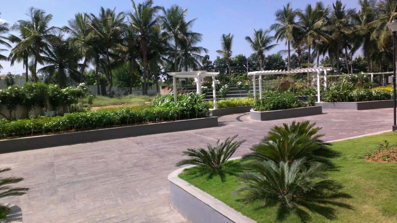 Photo of Outdoor in Narasapura