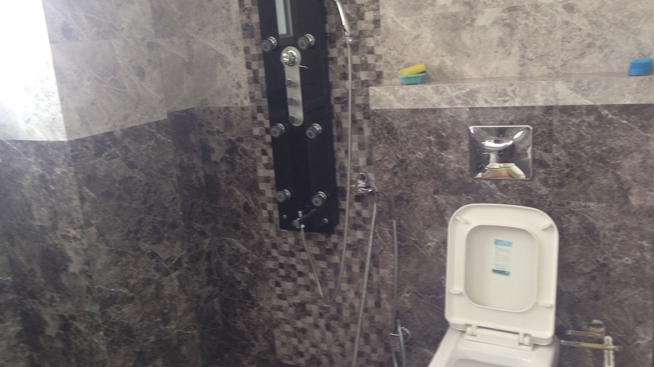 Photo of Bathroom in Ghanyara Khas
