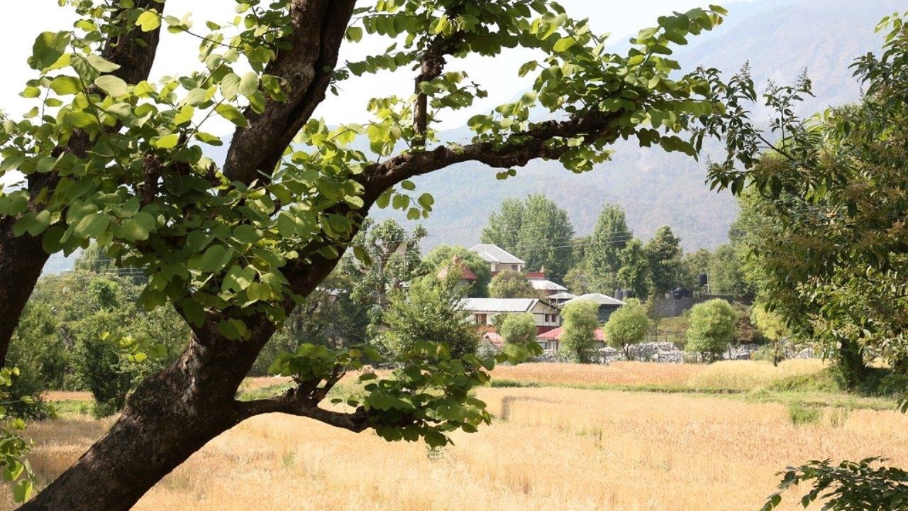 Photo of Outdoor in Ghanyara Khas